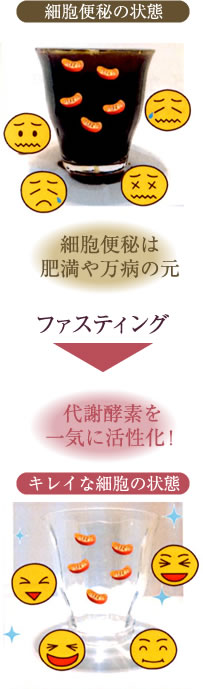 細胞便秘は肥満や万病の元→ファスティングで、代謝酵素を一気に活性化！