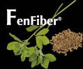 fenfiber