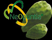 neopuntia